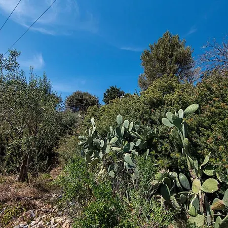 Maria Nik Psaras House Skalia