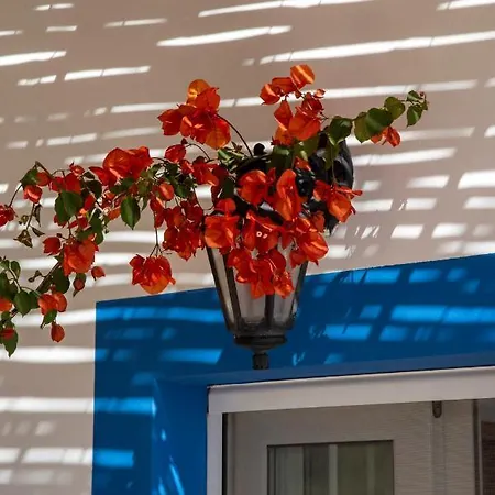 Appartamento Maria Nik Psaras House Skaliá
